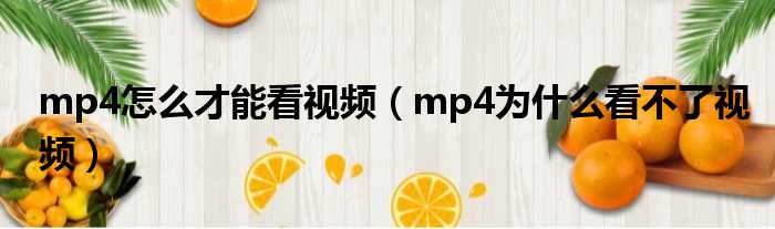 mp4怎么才能看视频 mp4为什么看不了视频