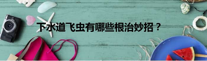 下水道飞虫有哪些根治妙招
