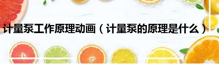 计量泵工作原理动画 计量泵的原理是什么