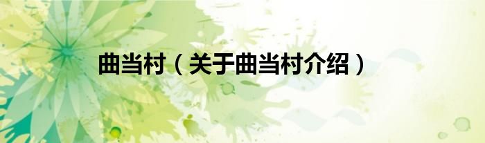 曲当村 关于曲当村介绍