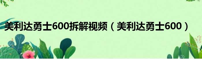 美利达勇士600拆解视频 美利达勇士600