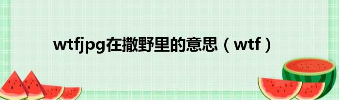 wtfjpg在撒野里的意思 wtf