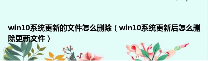 win10系统更新的文件怎么删除 win10系统更新后怎么删除更新文件