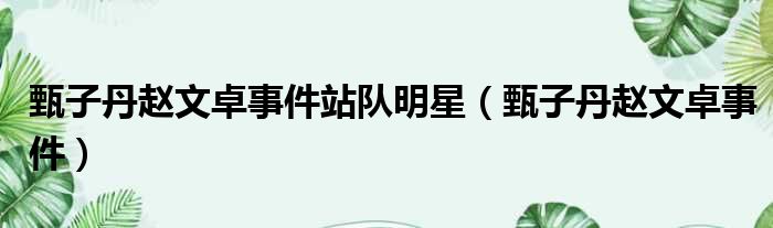 甄子丹赵文卓事件站队明星 甄子丹赵文卓事件
