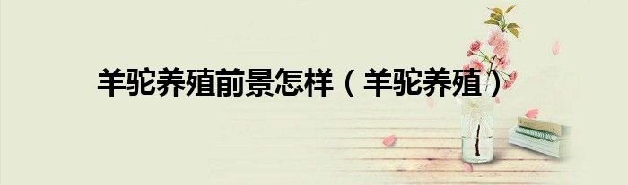 羊驼养殖前景怎样 羊驼养殖