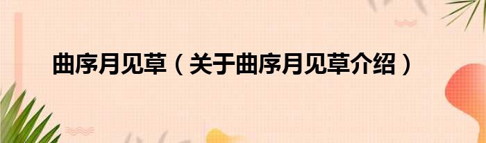 曲序月见草 关于曲序月见草介绍