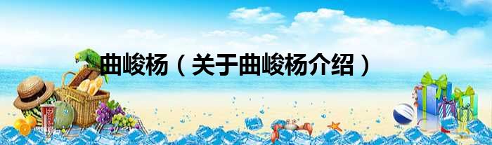 曲峻杨 关于曲峻杨介绍