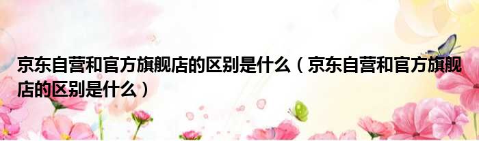 京东自营和官方旗舰店的区别是什么 京东自营和官方旗舰店的区别是什么
