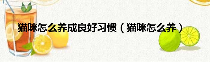 猫咪怎么养成良好习惯 猫咪怎么养