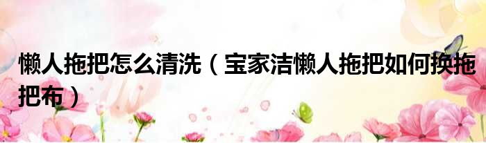 懒人拖把怎么清洗 宝家洁懒人拖把如何换拖把布