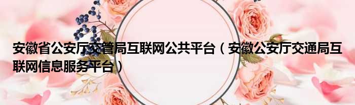 安徽省公安厅交管局互联网公共平台 安徽公安厅交通局互联网信息服务平台
