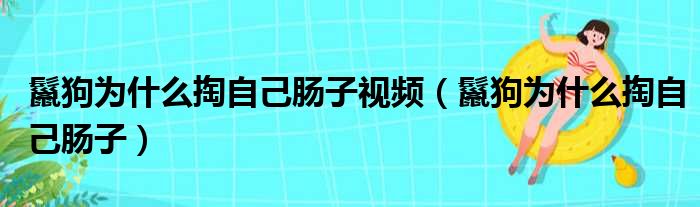 鬣狗为什么掏自己肠子视频 鬣狗为什么掏自己肠子