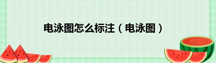 电泳图怎么标注 电泳图