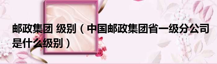 邮政集团 级别 中国邮政集团省一级分公司是什么级别