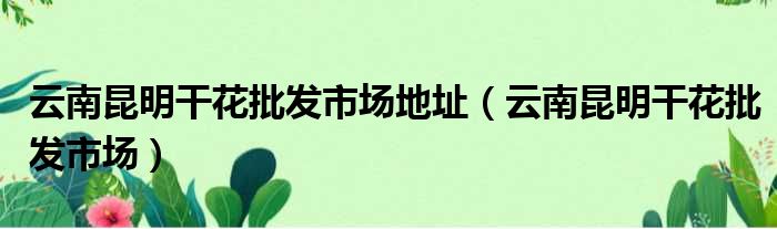 云南昆明干花批发市场地址 云南昆明干花批发市场