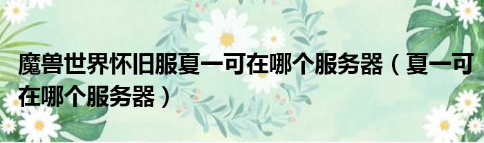 魔兽世界怀旧服夏一可在哪个服务器 夏一可在哪个服务器