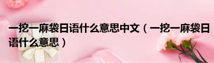 一挖一麻袋日语什么意思中文 一挖一麻袋日语什么意思