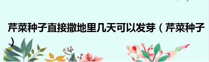 芹菜种子直接撒地里几天可以发芽 芹菜种子