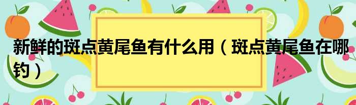 新鲜的斑点黄尾鱼有什么用 斑点黄尾鱼在哪钓
