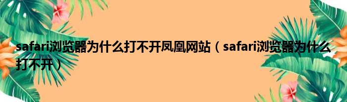 safari浏览器为什么打不开凤凰网站 safari浏览器为什么打不开