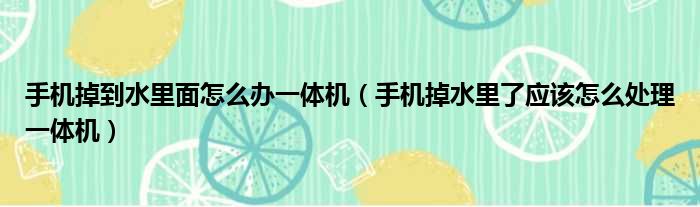 手机掉到水里面怎么办一体机 手机掉水里了应该怎么处理一体机
