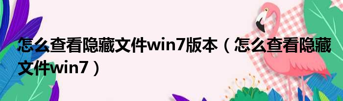 怎么查看隐藏文件win7版本 怎么查看隐藏文件win7