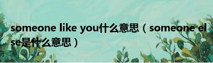 someone like you什么意思 someone else是什么意思