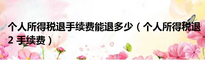 个人所得税退手续费能退多少 个人所得税退2 手续费
