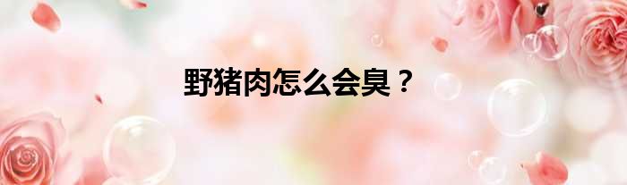 野猪肉怎么会臭