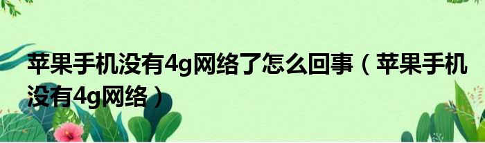 苹果手机没有4g网络了怎么回事 苹果手机没有4g网络