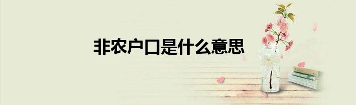 非农户口是什么意思