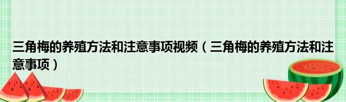 三角梅的养殖方法和注意事项视频 三角梅的养殖方法和注意事项