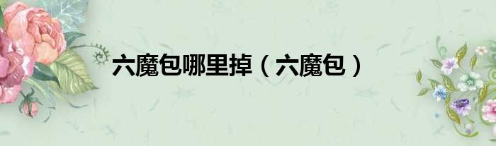 六魔包哪里掉 六魔包