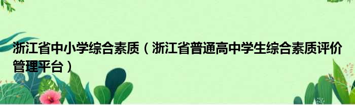 浙江省中小学综合素质 浙江省普通高中学生综合素质评价管理平台