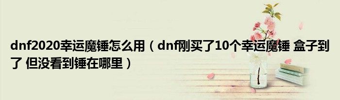 dnf2020幸运魔锤怎么用 dnf刚买了10个幸运魔锤 盒子到了 但没看到锤在哪里