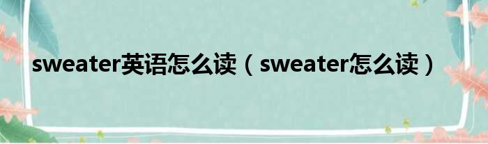 sweater英语怎么读 sweater怎么读