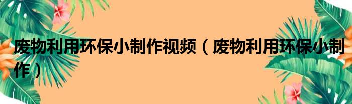 废物利用环保小制作视频 废物利用环保小制作