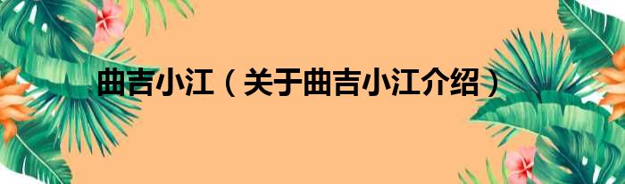 曲吉小江 关于曲吉小江介绍