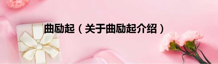 曲励起 关于曲励起介绍