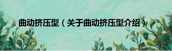曲动挤压型 关于曲动挤压型介绍