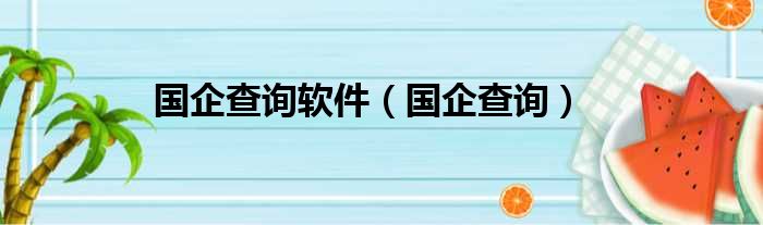 国企查询软件 国企查询