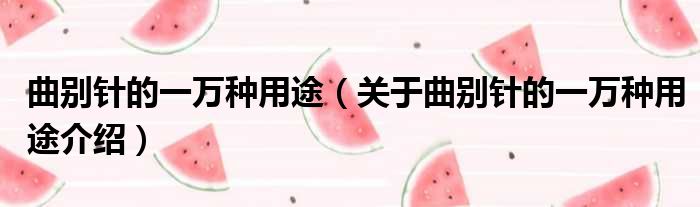 曲别针的一万种用途 关于曲别针的一万种用途介绍