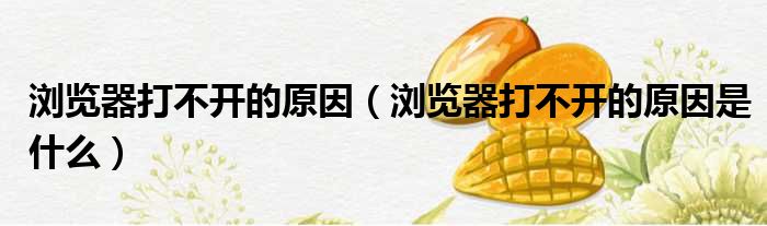 浏览器打不开的原因 浏览器打不开的原因是什么