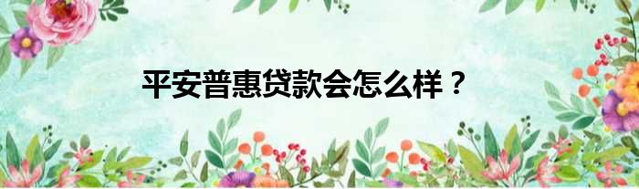 平安普惠贷款会怎么样