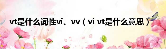 vt是什么词性vi、vv vi vt是什么意思