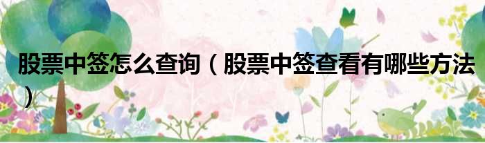 股票中签怎么查询 股票中签查看有哪些方法