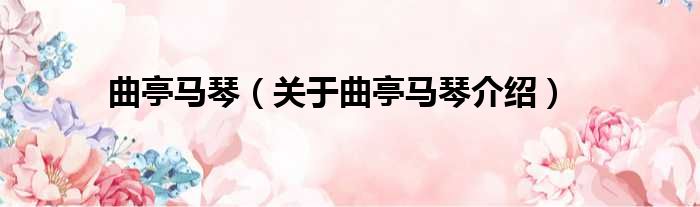 曲亭马琴 关于曲亭马琴介绍