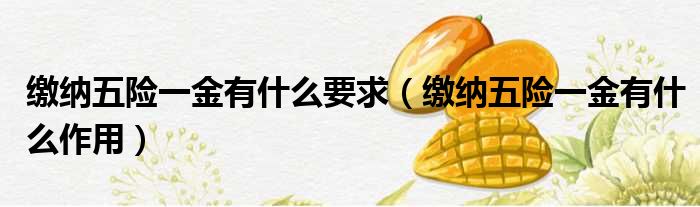 缴纳五险一金有什么要求 缴纳五险一金有什么作用