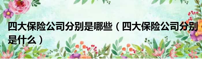 四大保险公司分别是哪些 四大保险公司分别是什么