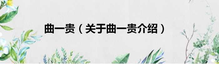 曲一贵 关于曲一贵介绍